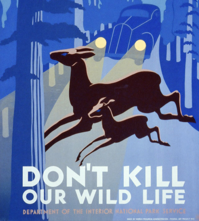 popular-movie-one-img-5