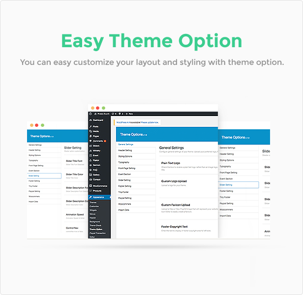 Theme options features